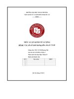 Tiểu luận kinh tế lượng Đề tài các yếu tố ảnh hưởng Đến chỉ số vn30