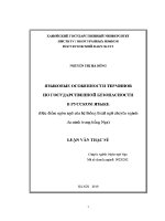 Luận văn Языковые Особенности Терминов По Государственной Безопасности В Русском Языке
