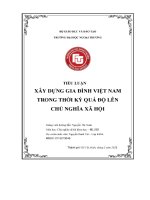 Tiểu luận xây dựng gia Đình việt namtrong thời kỳ quá Độ lên chủ nghĩa xã hội