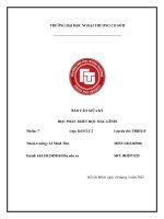 Báo cáo triết học phân tích thương vụ sáp nhập giữa vingroup và masan