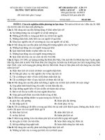 Đề lịch sử 10 ( chương trình mới )