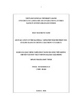Luận văn an evaluation of the material lifeline for the first non english major students at hai phong university