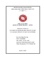 Tiểu Luận Tích Luỹ Tư Bản Và Các Nhân Tốảnh Hưởng Đến Quy Mô Tích Luỹ.pdf