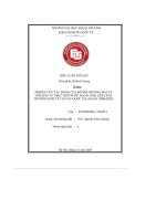 Nghiên cứu tác Động của Độ mở thương mại và vốn Đầu tư trực tiếp nước ngoài (fdi) lên tăng trưởng kinh tế tại các quốc gia asean (2008 2022)