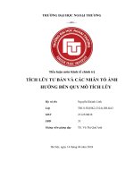 Tiểu luận môn kinh tế chính trị tích lũy tư bản và các nhân tố Ảnh hưởng Đến quy mô tích lũy