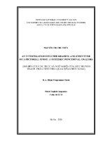 Luận văn an investigation into the meaning and structure of a pictorial story a systemic functional analysis