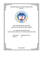 Bài tập lớn kinh tế vĩ mô cho các nước Đang phát triển các nhân tố Ảnh hưởng Đến chi tiêu hộ gia Đình Ở các nước Đang phát triển