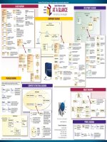 No magic quick reference guide uml