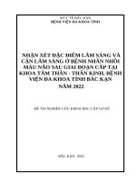 Nhận xét đặc điểm lâm sàng và cận lâm sàng ở bệnh nhân nhồi máu não sau giai đoạn cấp tại khoa Tâm thần - Thần kinh, Bệnh viện Đa khoa tỉnh BẮC KẠN năm 2022