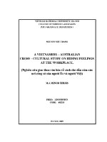 Luận văn vietnamese australian cross cultural study on hiding feelings at the workplace