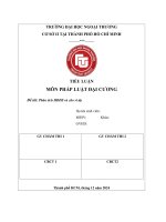 Tiểu luận pldc   tiểu luận về hđds