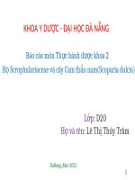 BÁO CÁO THỰC HÀNH DƯỢC KHOA  HỌ SCROPHULARIACEAE VÀ CÂY CAM THẢO NAM (SCOPARIA DULCIS)