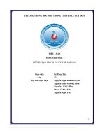 Tiểu luận môn sinh học Đề tài tạo giống có ưu thế lai cao