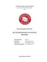 Bài tập nhóm giữa kỳ dự Án kinh doanh vải sáp ong beekind