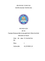 Đề tài Ứng dụng thương mại Điện tử trong ngành bán lẻ phân tích mô hình kinh doanh của amazon