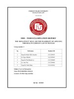 Mid – term examination report the “ring fence” rule and the feasibility of applying this rule in company law in vietnam