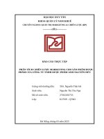 Báo cáo thực tập phân tích chiến lược marketing cho sản phẩm dược phẩm của công ty tnhh dược phẩm anh nguyên Đức