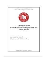 Tiểu luận nhóm phân tích doanh nghiệp ngân hàng