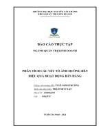 Báo cáo thực tập ngành quản trị kinh doanh phân tích các yếu tố Ảnh hưởng Đến hiệu quả hoạt Động bán hàng