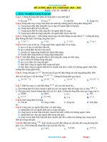 Đề kiểm tra clhk 2 vật lý 11