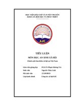 Tiểu luận môn học an sinh xã hội chính sách bảo hiểm xã hội tại việt nam