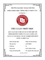 Tiểu luận triết học   quy luật qhsx & llsx phù hợp