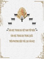 Tiếp Biến Văn Học Trung Đại Trung Quốc Trê Phương Diện Thể Loại Văn Học.pptx
