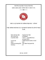 Tiểu luận việc hình thành các tập Đoàn kinh tế lớn Ở việtnam