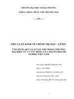 Tiểu luận Ứng dụng quy luật giá trị trong thương mại Điện tử và tác Động Đến doanh nghiệp viết nam