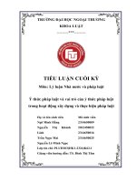 Tiểu luận Ý thức pháp luật và vai trò của Ý thức pháp luật trong hoạt Động xây dựng và thực hiện pháp luật