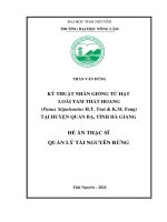 Kỹ thuật nhân giống từ hạt loài tam thất hoang (panax stipuleantus h t  tsai & k m  feng) tại huyện quản bạ, tỉnh hà giang