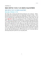 Chương 30 hội chứng vắng van Động mạch phổi