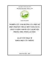 Nghiên cứu Ảnh hưởng của một số biện pháp kỹ thuật Đến năng suất, chất lượng chuối tây tại huyện phong thổ, tỉnh lai châu