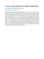 Chương 34 gián Đoạn cung Động mạch chủ