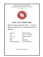 Tiểu luận vận dụng nguyên tắc lịch sử cụ thể của phép biện chứng duy vật trong hoạt Động kinh tế Đối ngoại