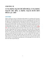 Chương 39 cung Đmc bên phải, cung Đmc Đôi, arsa