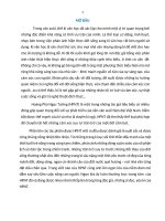 Đặc Điểm kí của hoàng phủ ngọc tường