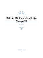 Bài tập thực hành cá nhân môn Mô hình hóa dữ liệu MongoDB