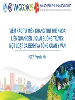 1  bs phạm bá nha   viem nao tu mien khang thu the nmda lien quan djen u quai buong trung mot loat ca benh va tong quan