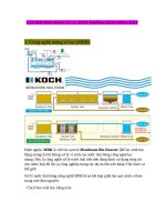 Các phương pháp xử lý nước không dùng hóa chất
