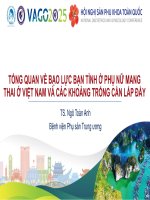 2  bs ngô toàn anh   pipv   overview 16 7 25