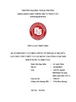 Tiểu luận triết quan Điểm duy vật biện chứng về mối quan hệ giữa vật chất với Ý thức và vận dụng vào công cuộc Đổi mới Ở nước ta hiện nay