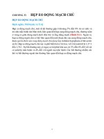 Chương 33 hẹp eo Động mạch chủ