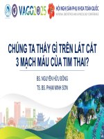 5  bs nguyễn hữu Đông  bs phạm minh sơn   báo cáo vago2025