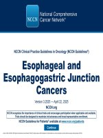 Esophageal nccn