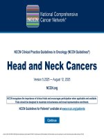 Head and neck nccn