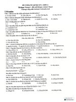 Đề Ôn tập hki 2 hoá 11