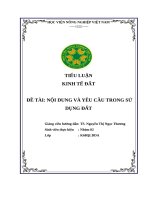 Tiểu luận kinh tế Đất Đề tài nội dung và yêu cầu trong sử dụng Đất