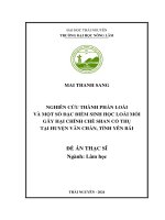 Nghiên cứu thành phần loài và một số Đặc Điểm sinh học loài mối gây hại chính chè shan cổ thụ tại huyện văn chấn, tỉnh yên bái
