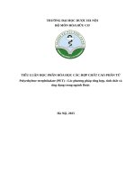 Tiểu luận học phần hóa học các hợp chất cao phân tử polyethylene terephthalate (pet)  các phương pháp tổng hợp, tính chất và Ứng dụng trong ngành dược